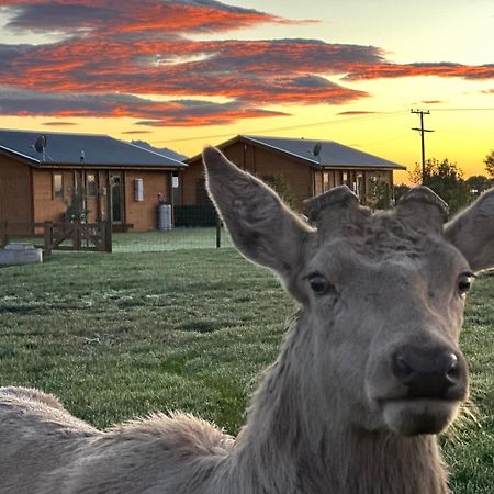 Deerbrooke Kaikoura Chalets - Chalet 2 외부 사진