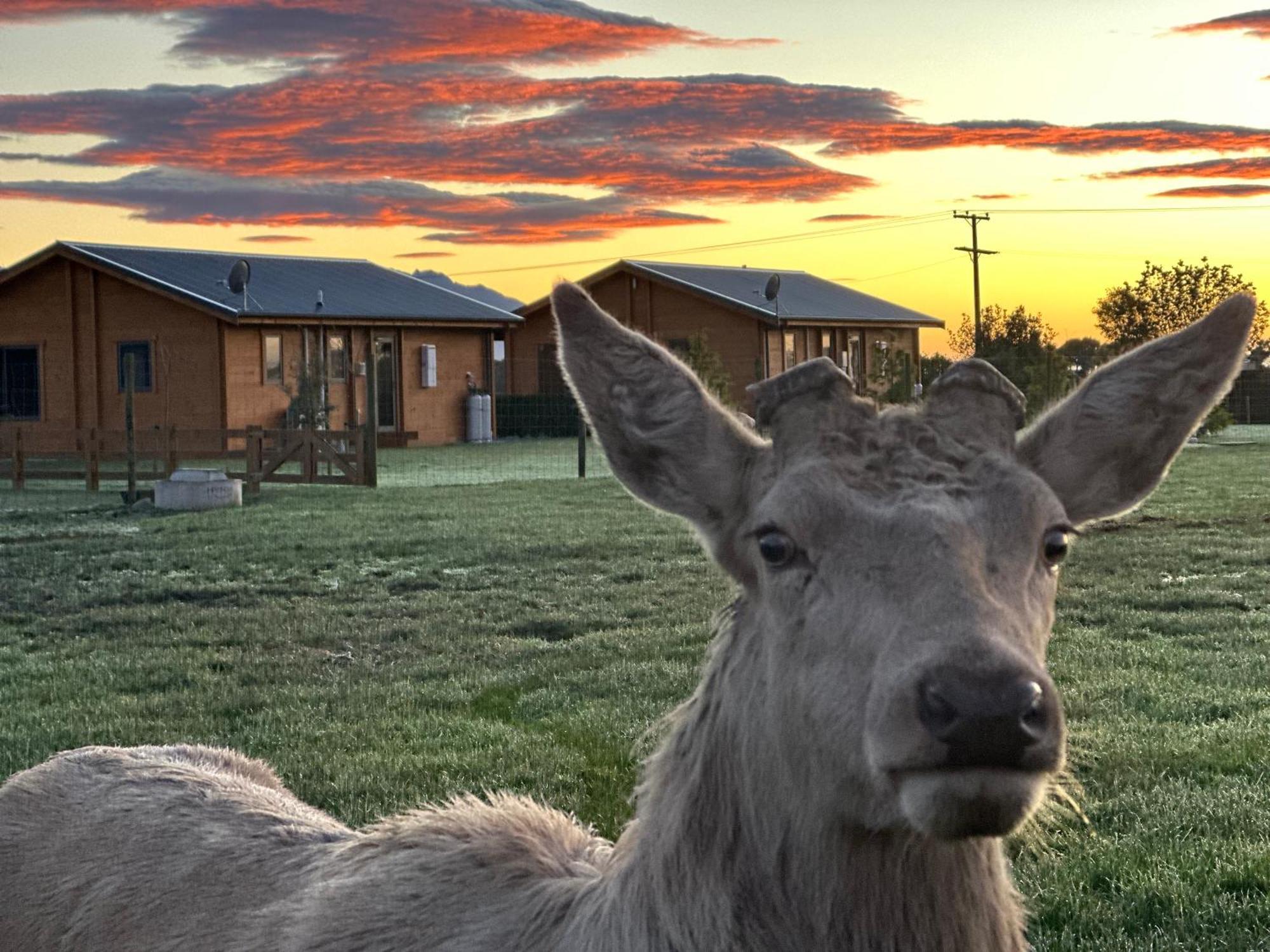 Deerbrooke Kaikoura Chalets - Chalet 2 빌라 외부 사진